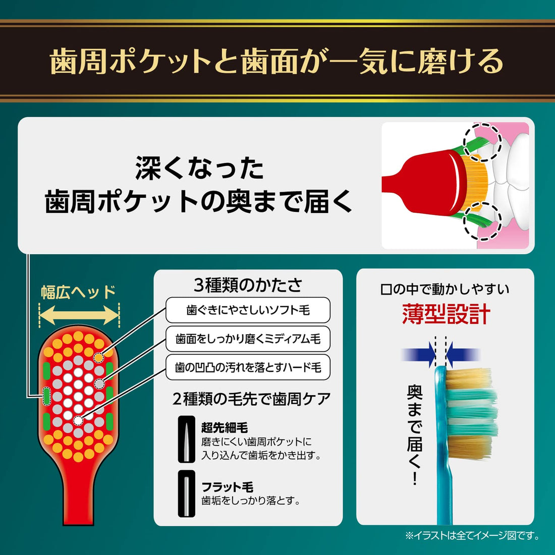 Ebisu The Premium Care Periodontal Pocket Plus Regular Size