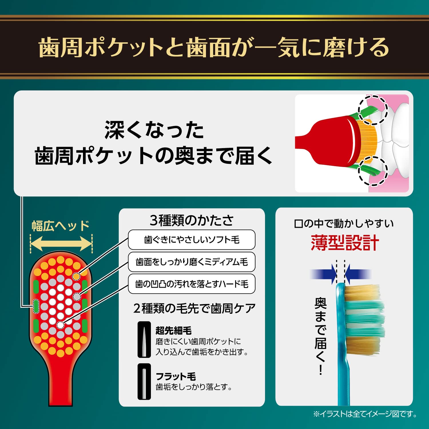 Ebisu The Premium Care Periodontal Pocket Plus Regular Size
