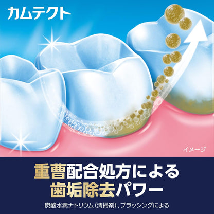 Kamtect Premium Gum Care Toothpaste with Toothbrush 105g
