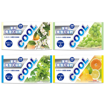 Lion Chemical Cool Bath Tablets with L-Menthol 12 Tablets