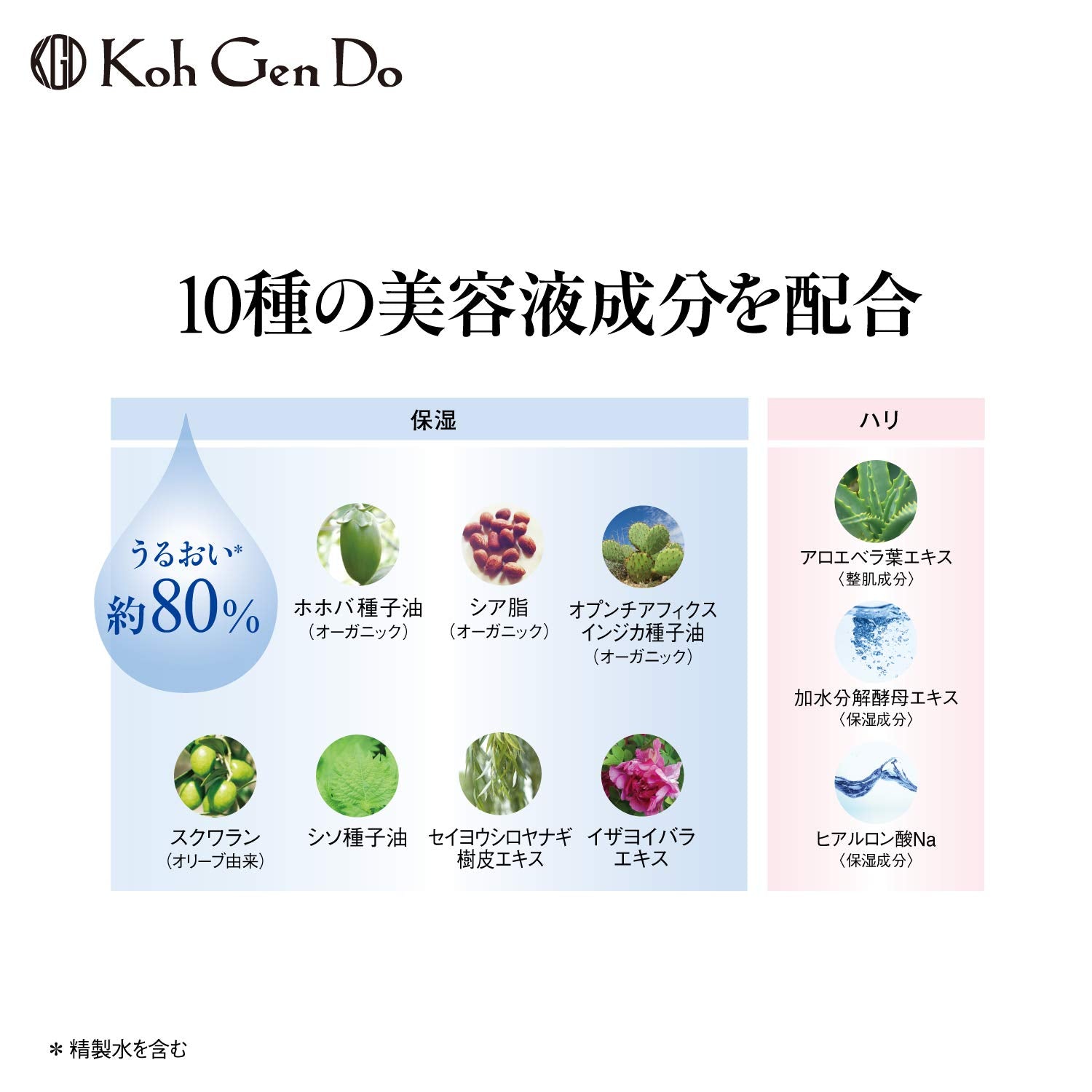 Koh Gen Do Moisture Foundation N 20g for Natural Beige Skin Tone