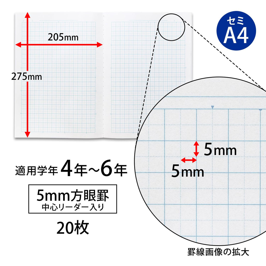 Kyokuto School Notebook 5mm Graph Semi A4 Green Check Pattern