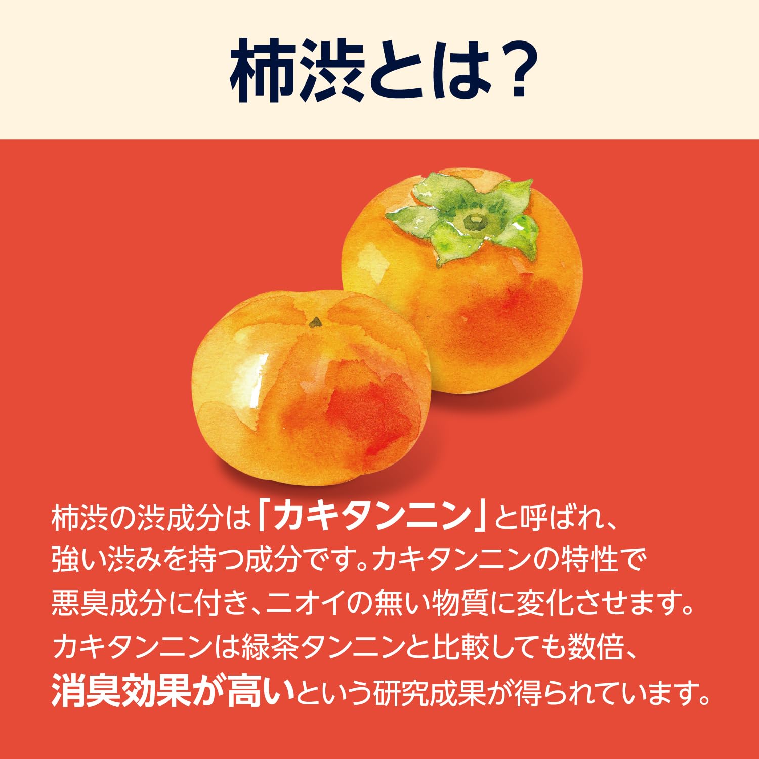 by Amazon Body Soap with Persimmon Extract 1400ml for Gentle Cleansing
