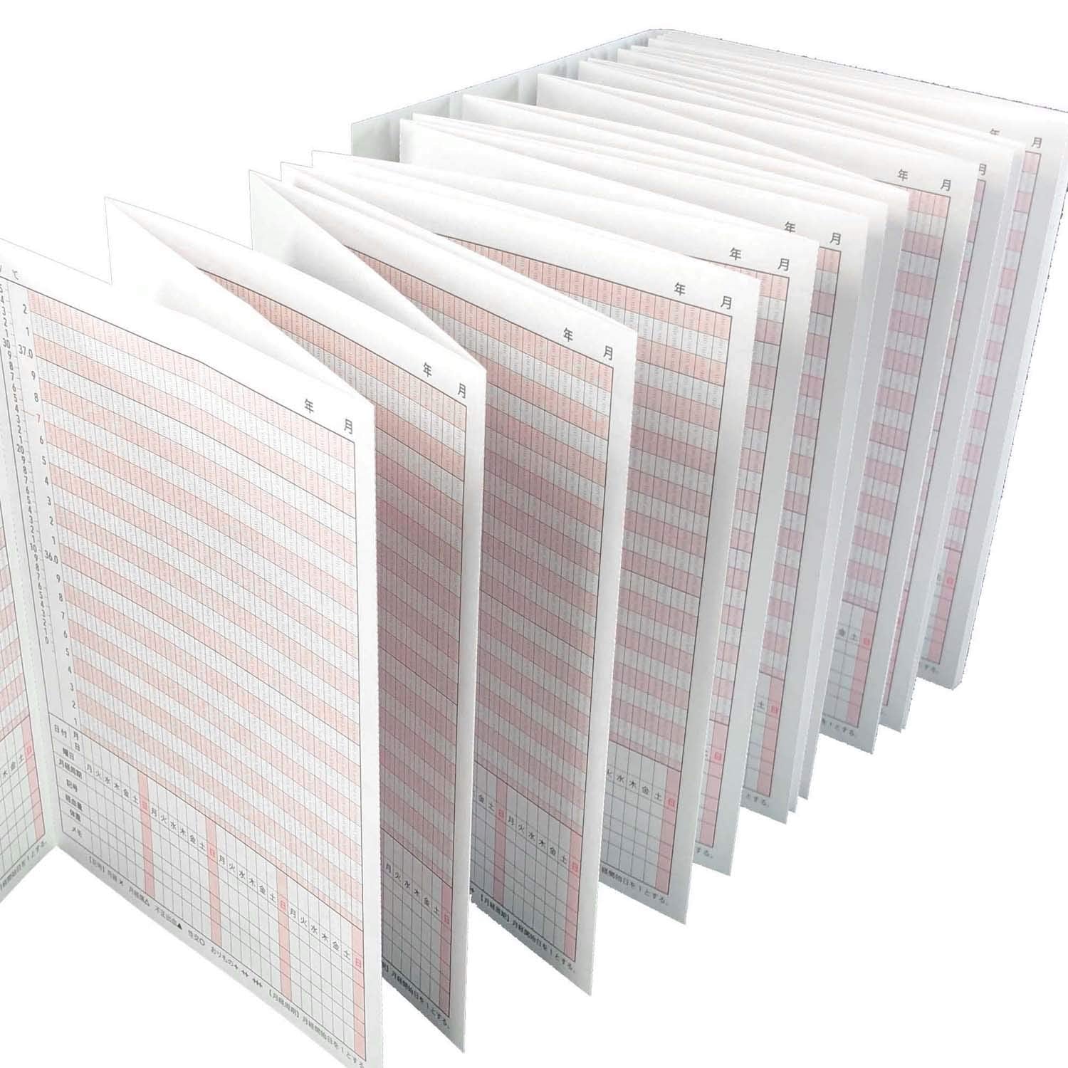 Frontier Temperature Log A5 Accordion Style for Daily Tracking