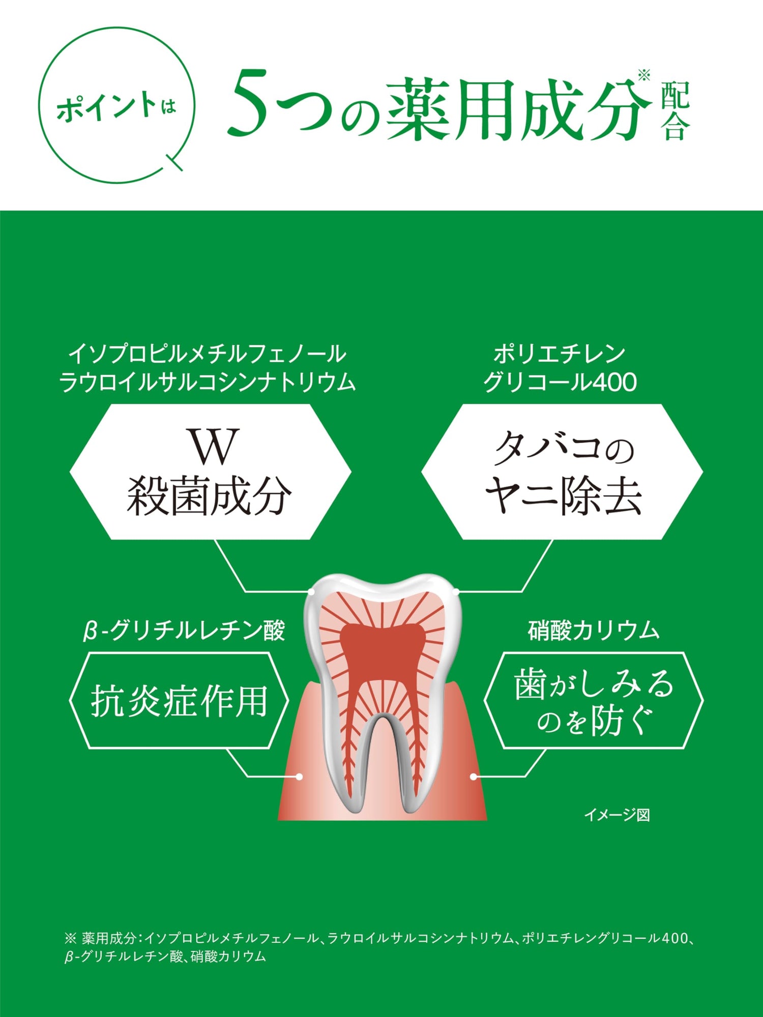 Hamigakidou Mini Size Fresh Mint Toothpaste 20g for Fresh Breath