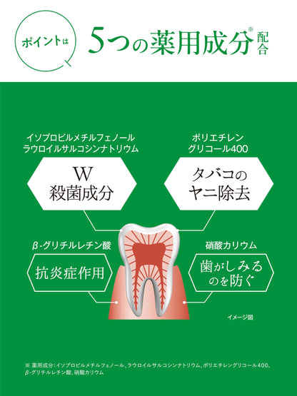 Hamigakidou Mini Size Fresh Mint Toothpaste 20g for Fresh Breath