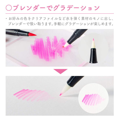 Tombow Dual Brush Pen Set 12 Colors Water-Based Markers