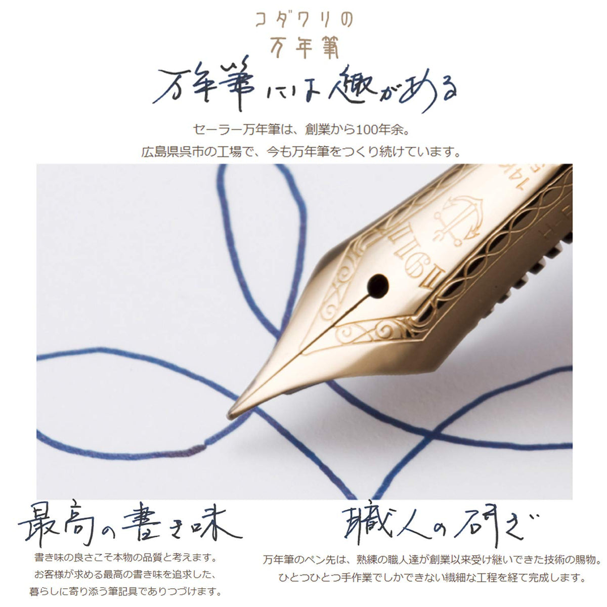 Sailor Fountain Pen SHIKIORI Yukizuki Sora Ha Medium Fine