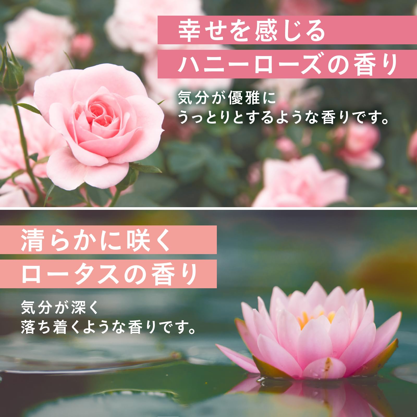 Onpo Floral Scene Bath Tablets 12 Count Relaxing Bath Soak