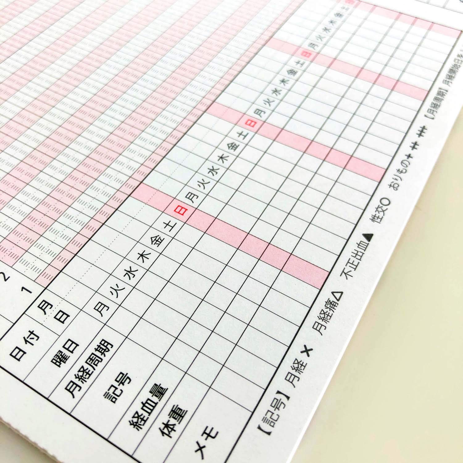 Frontier Temperature Log A5 Accordion Style for Daily Tracking