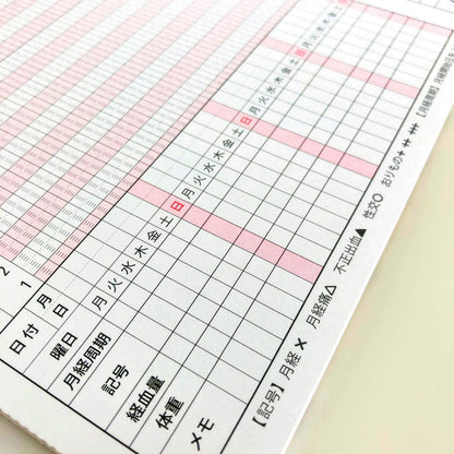 Frontier Temperature Log A5 Accordion Style for Daily Tracking