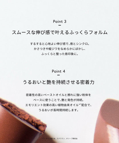 Celvoke Lip Color Timeless Terracotta 03 for Natural Finish
