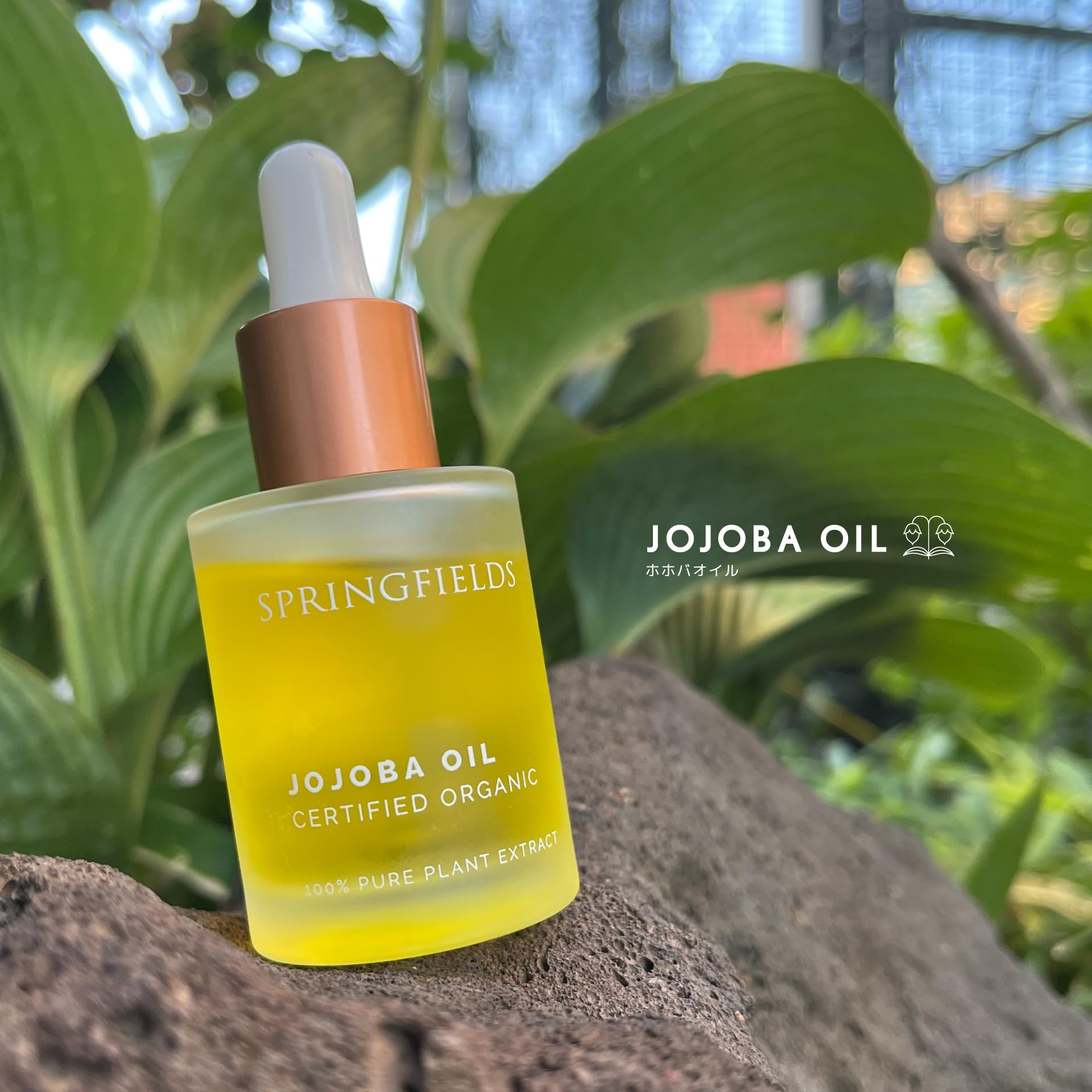 AuFloras SPRINGFIELDS Pure Jojoba Oil 30ml Organic Cold Pressed