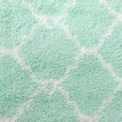 Hayashi Face Towel Set of 2 Soft Microfiber Moroccan Green 34x80cm