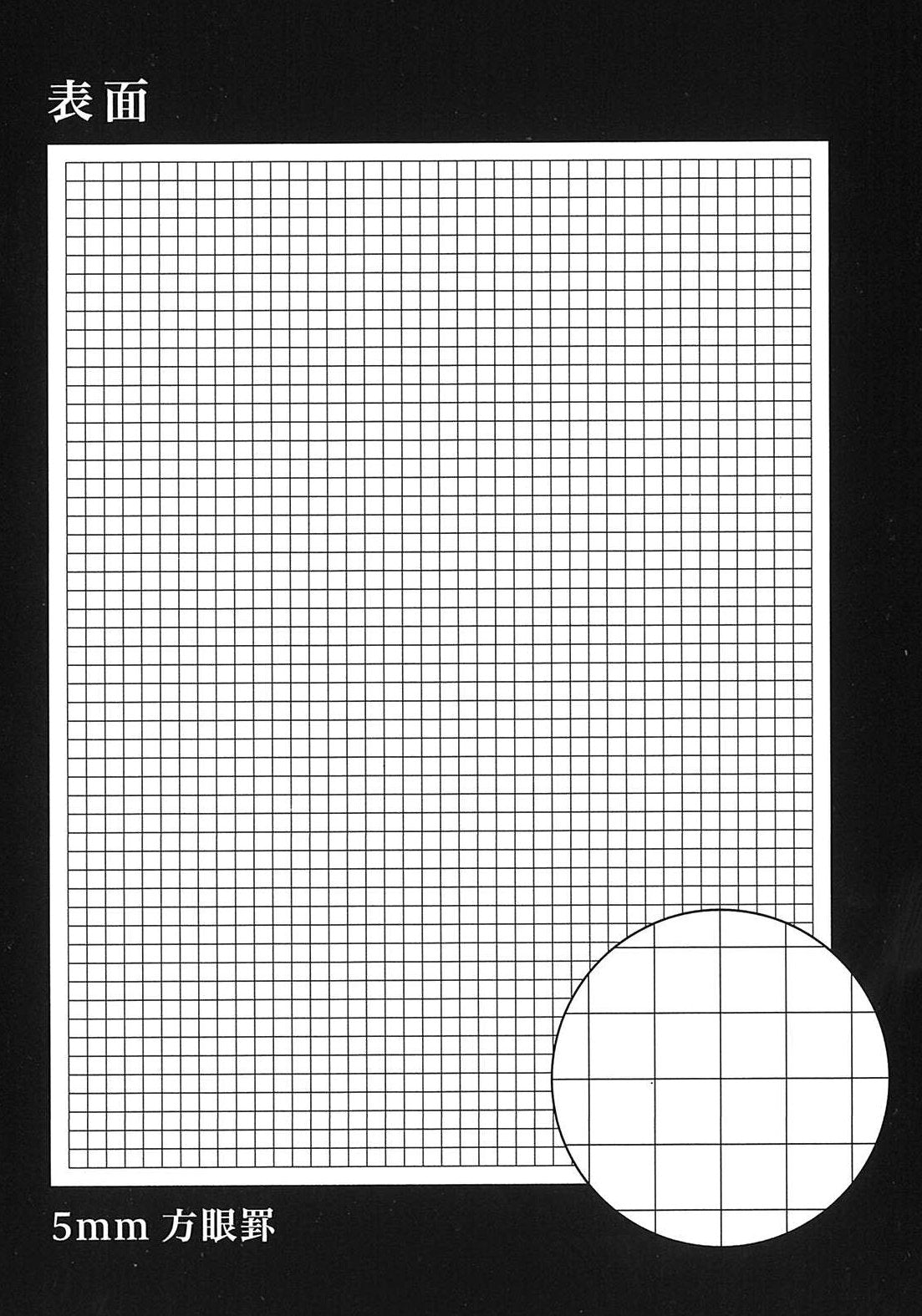 Raymay Fuji Report Paper A4 Double-Sided 100 Sheets