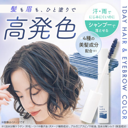 LEC One Day Hair and Eyebrow Color in Dusty Blue