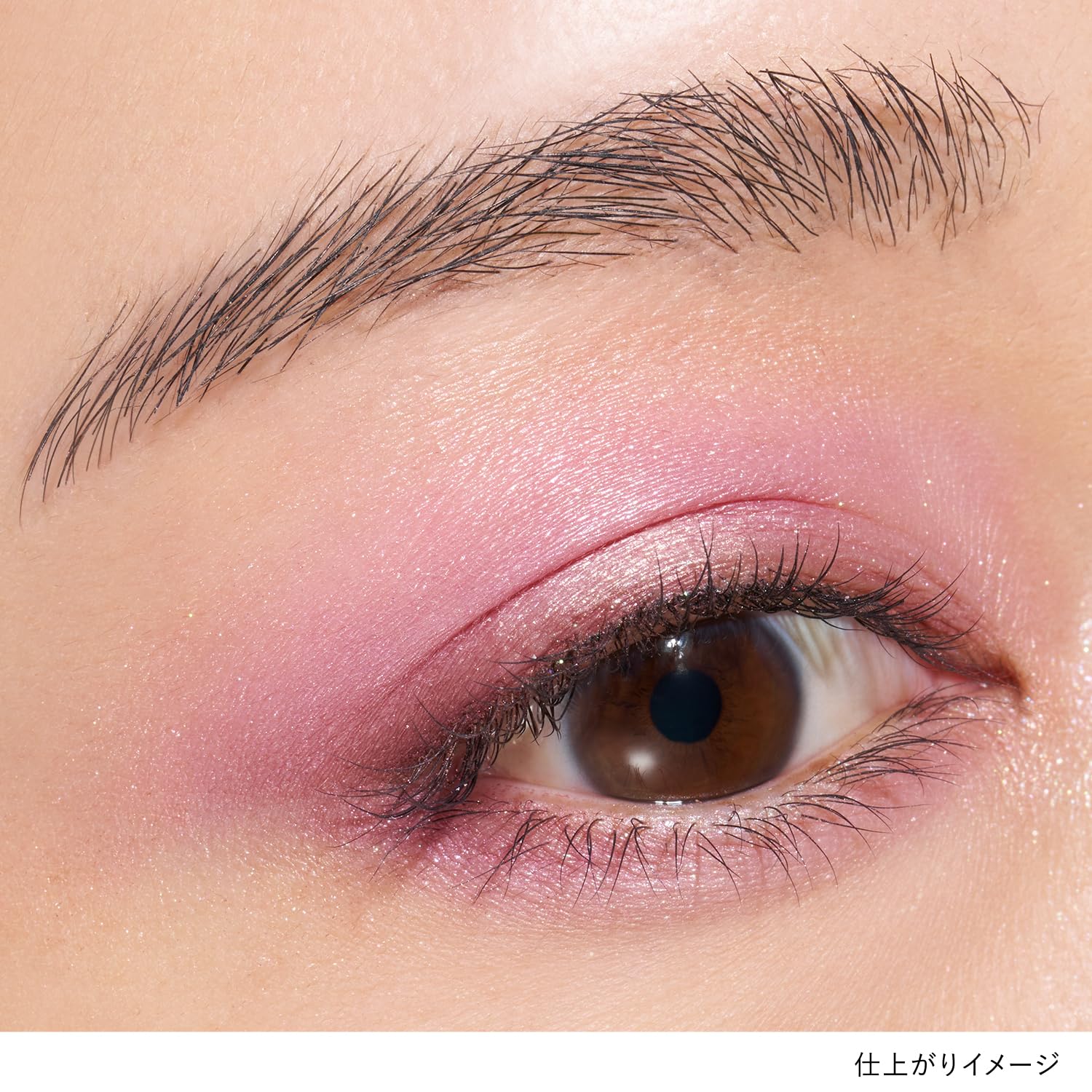 LUNASOL Eye Coloration N 09 Grape Meadow Eyeshadow Palette