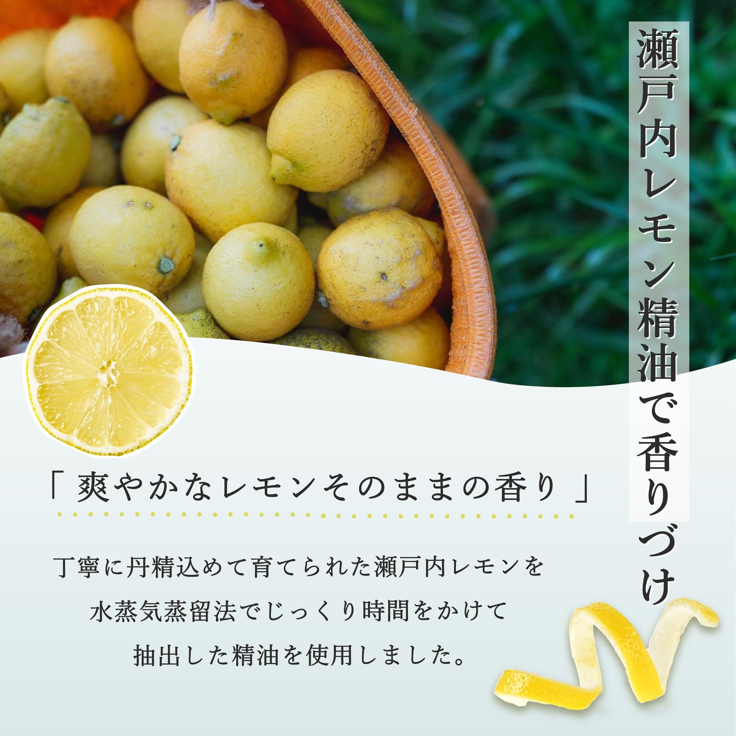 Daily Aroma Setouchi Lemon Lip Balm 7g Moisturizing Care