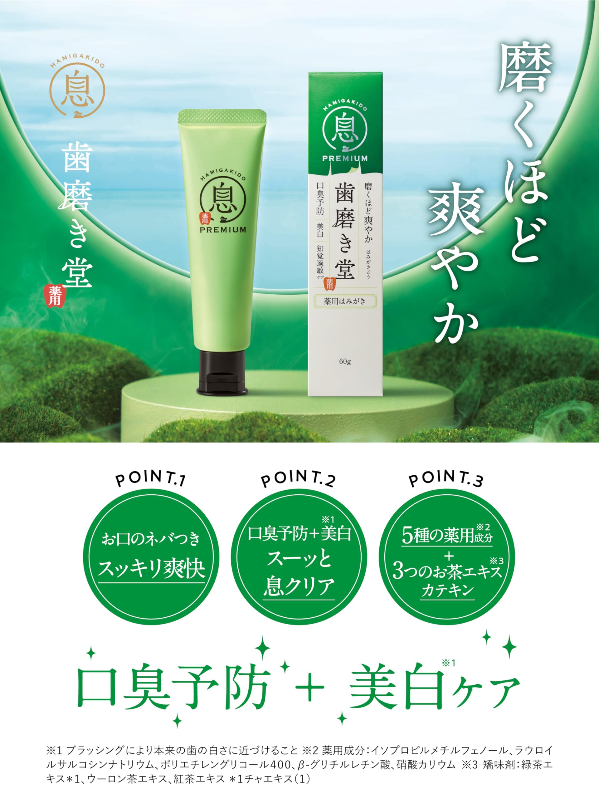 Hamigakidou Fresh Mint Toothpaste 60g for Oral Care