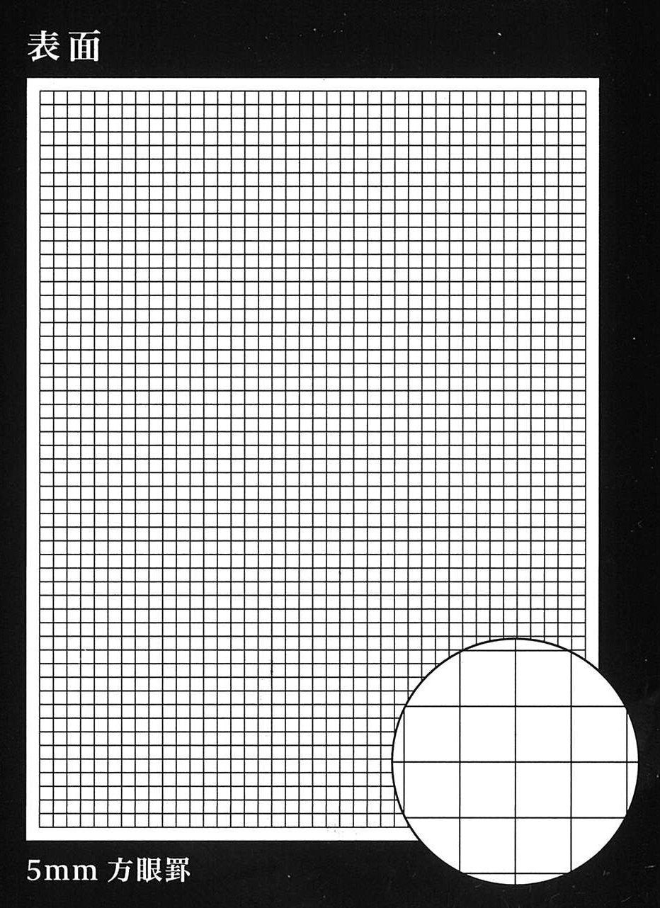 Reimei Fujii Report Paper Double-Sided B5 Size 100 Sheets