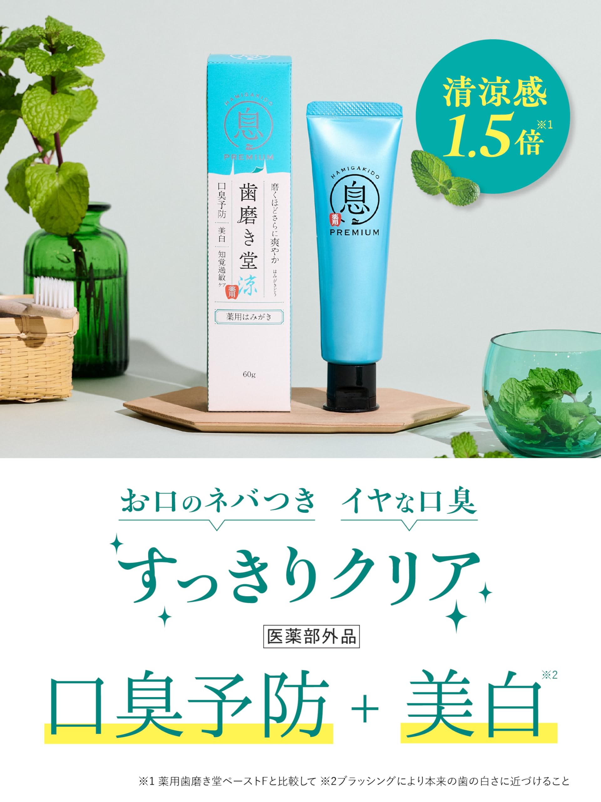 Hamigakidou Fresh Mint Toothpaste 60g for Breath Freshness