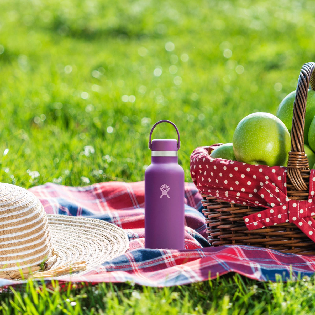 Hydro Flask Standard Mouth 18oz Water Bottle in Beach Plum