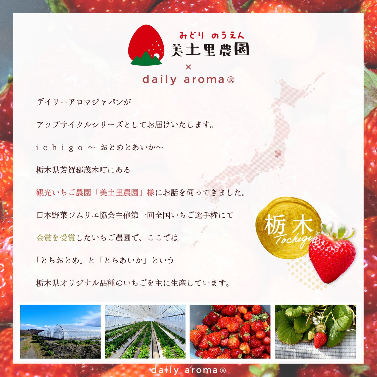 Daily Aroma Juicy Strawberry Face Mask with Strawberry Extract