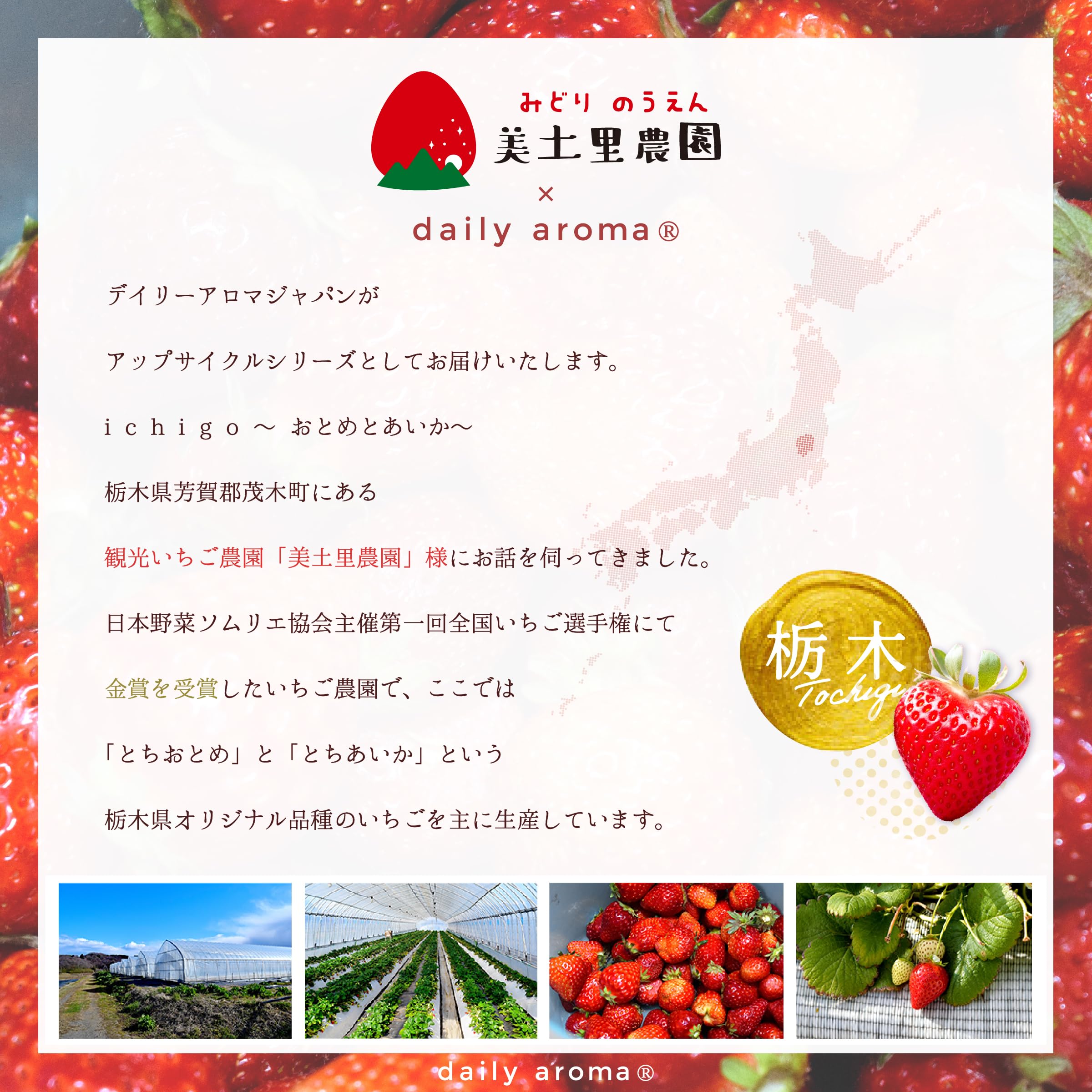 Daily Aroma Juicy Strawberry Face Mask with Strawberry Extract