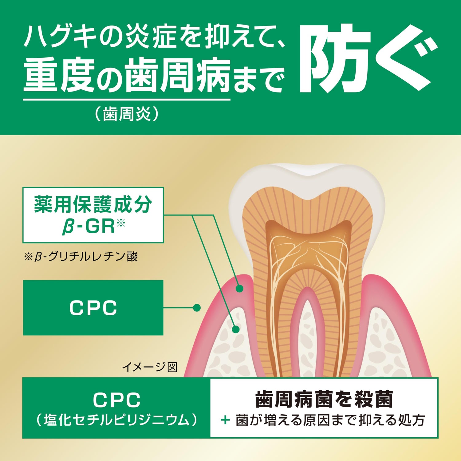 GUM Premium Dental Paste for Gum Care 85g