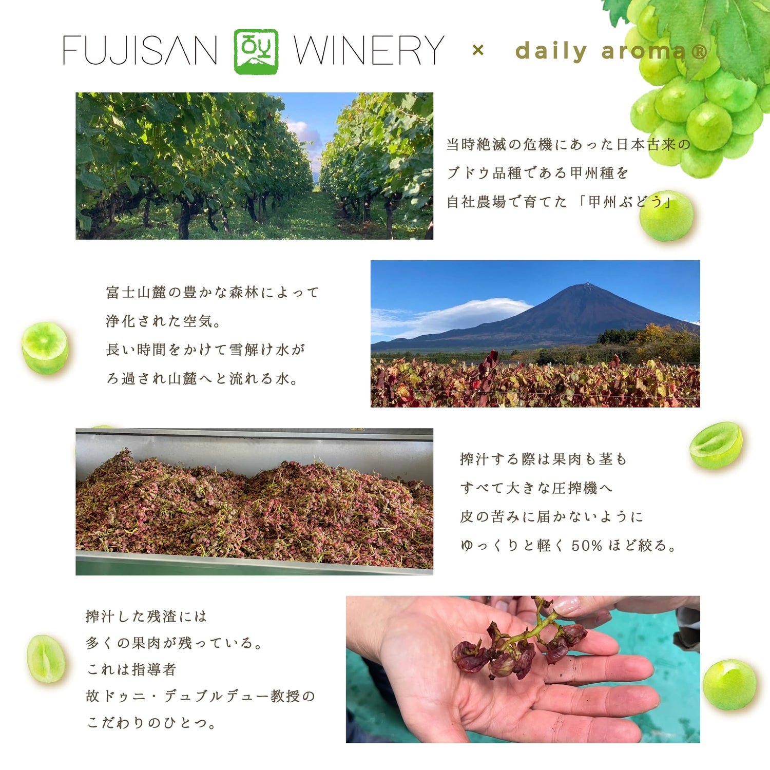 Daily Aroma Face Mask with Grape Essence 1 Sheet Made in Japan