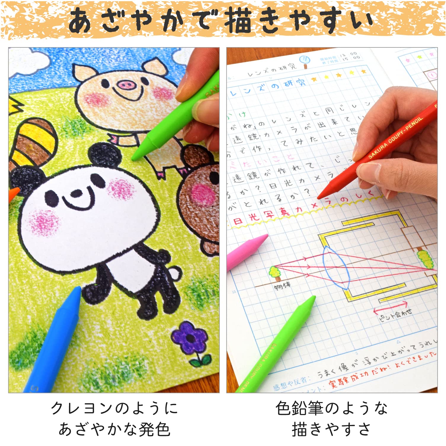 Sakura Craypas Colored Pencils 24 Colors Soft Case