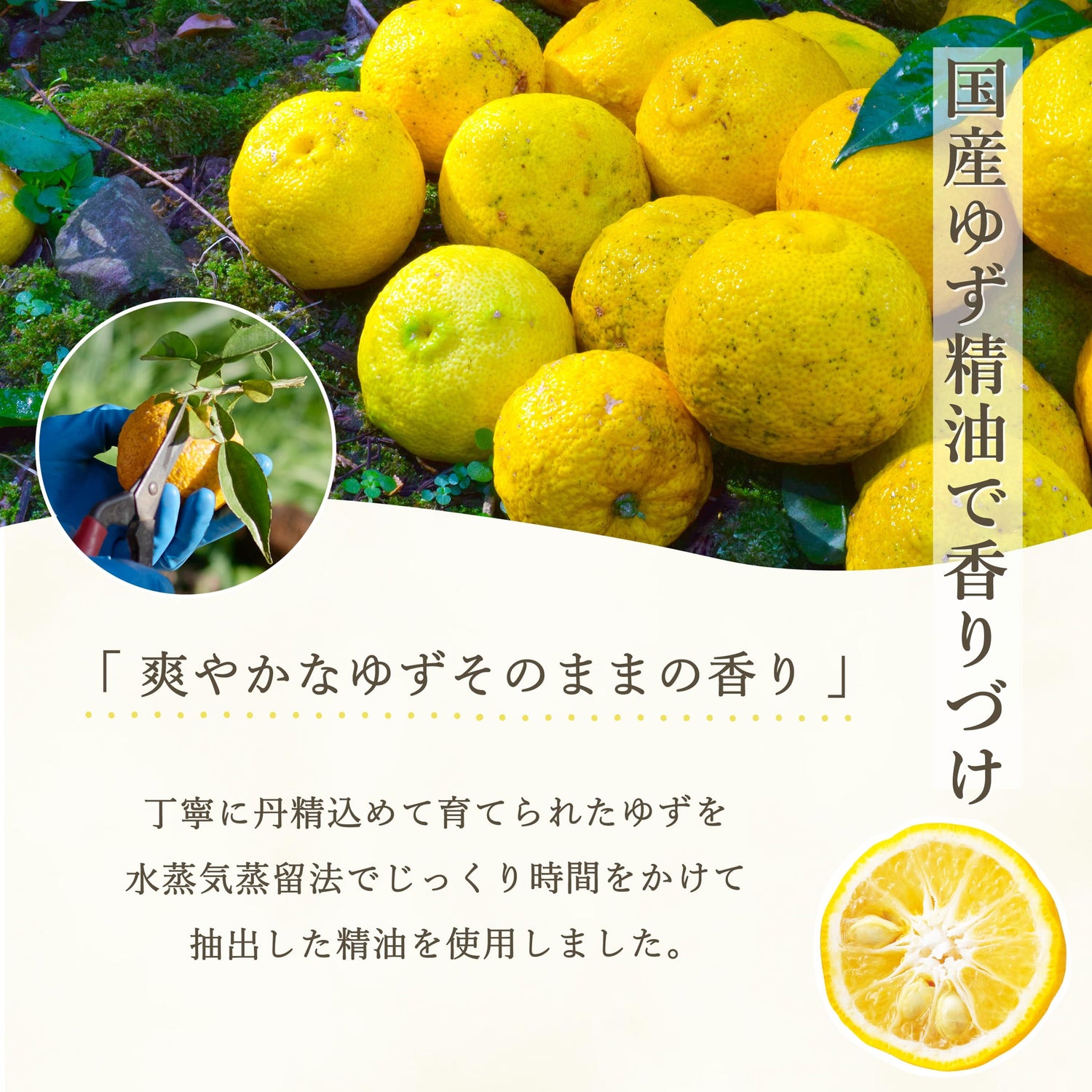 Daily Aroma Yuzu Lip Balm 7g Citrus Scented Hydration