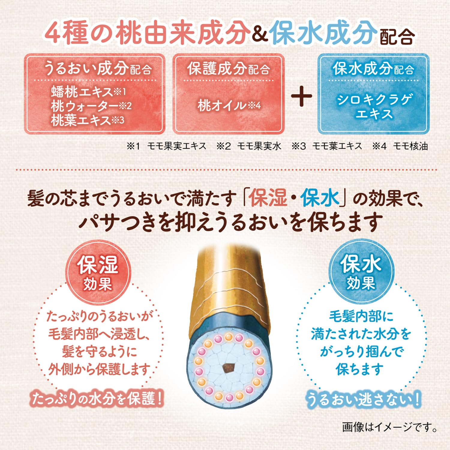 momori Glossy Jelly 120g for Hydrating Shine and Smooth Finish