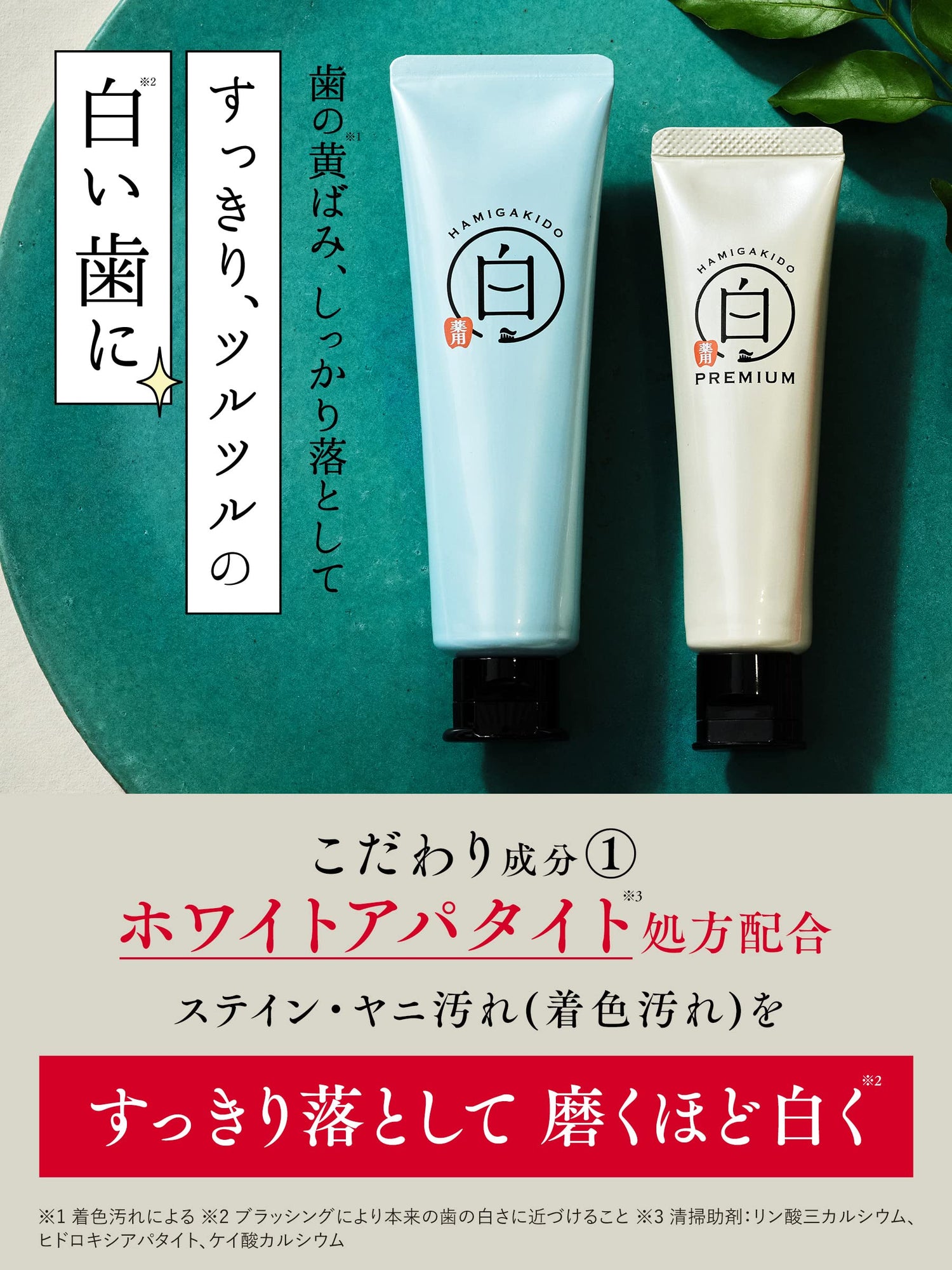 Hamigakidou Whitening Toothpaste Premium Fresh Mint 60g
