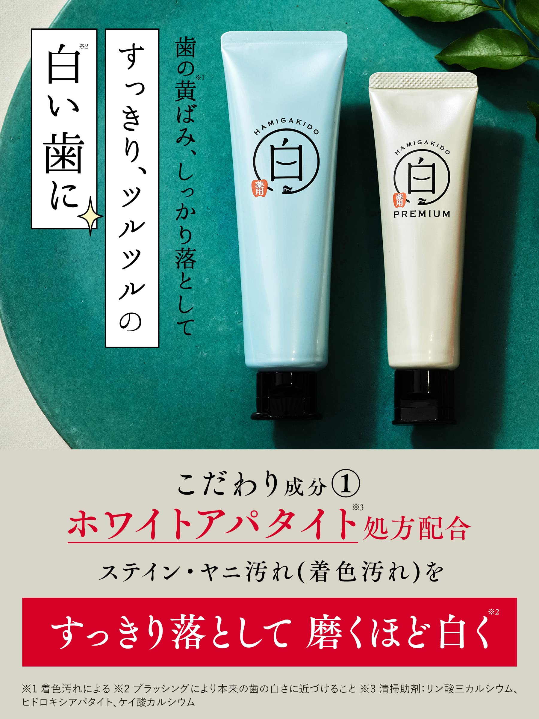 Hamigakidou Whitening Toothpaste Fresh Mint Flavor 90g