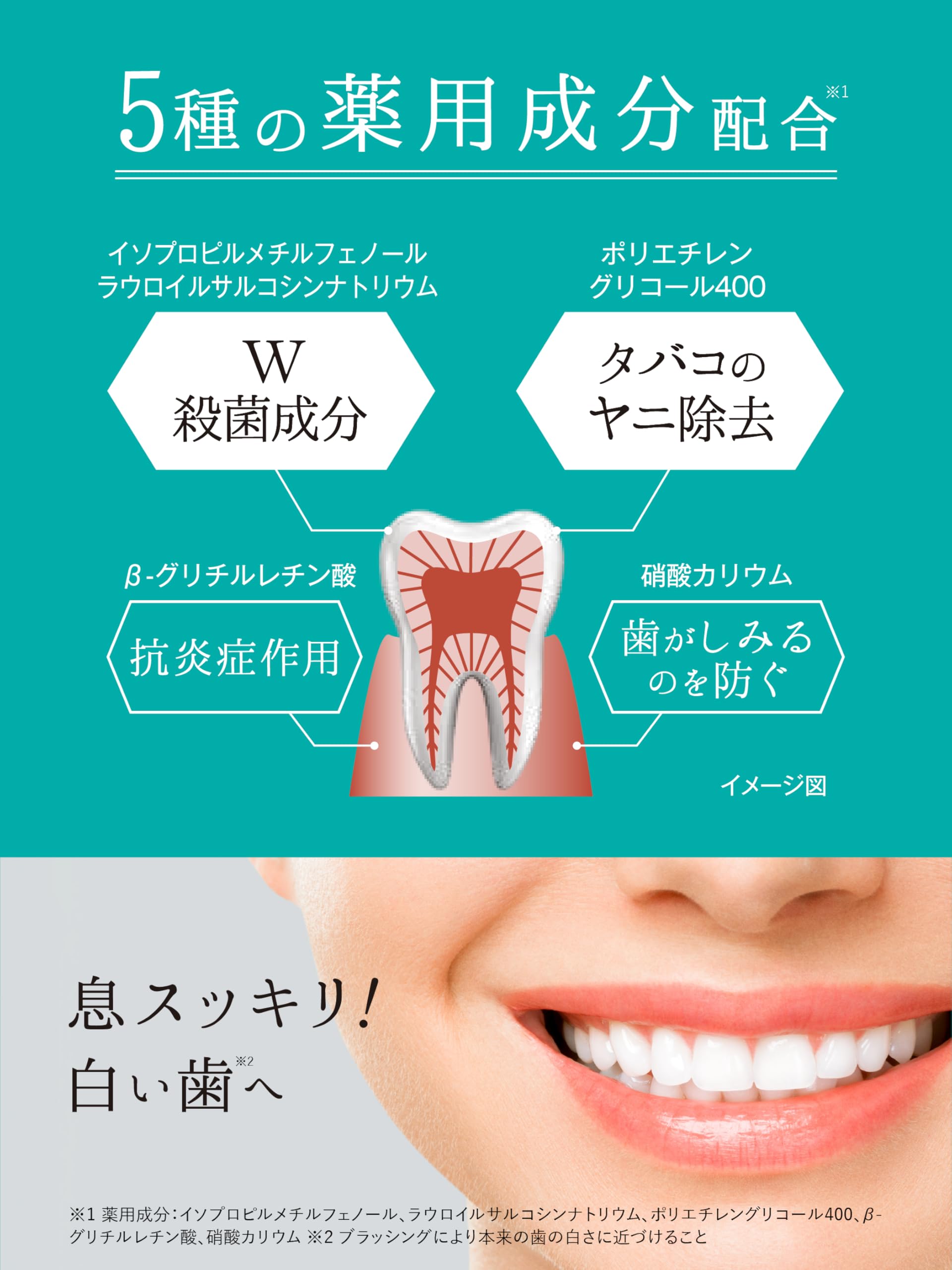 Hamigakidou Fresh Mint Toothpaste 60g for Breath Freshness