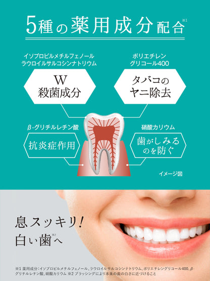 Hamigakidou Fresh Mint Toothpaste 60g for Breath Freshness