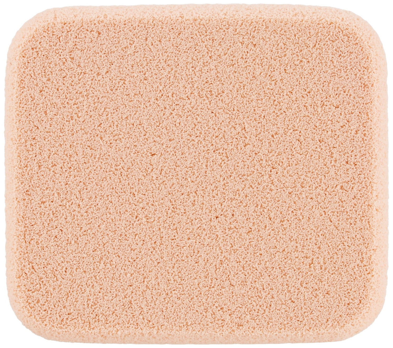 Takeda Hair Foundation Refill Light Brown 13g for Natural Coverage