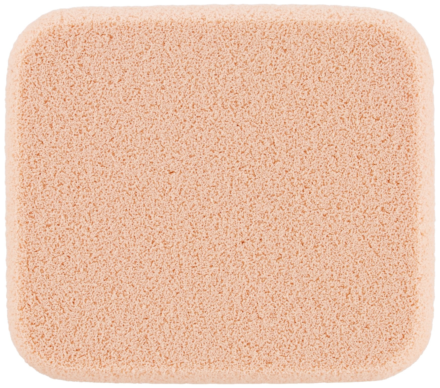 Takeda Hair Foundation Refill Light Brown 13g for Natural Coverage