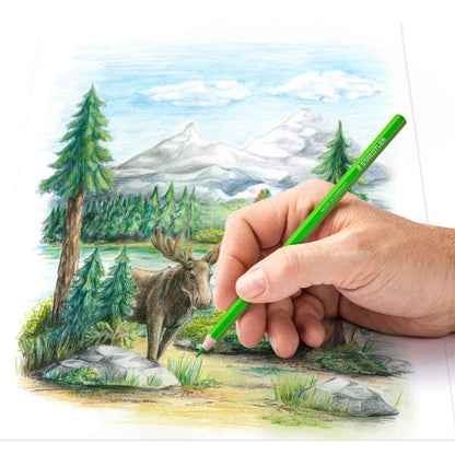 STAEDTLER Colored Pencils 72 Colors Oil-Based for Creative Design