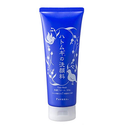 addgood Paenna Hatmugi Cleansing Foam 200g