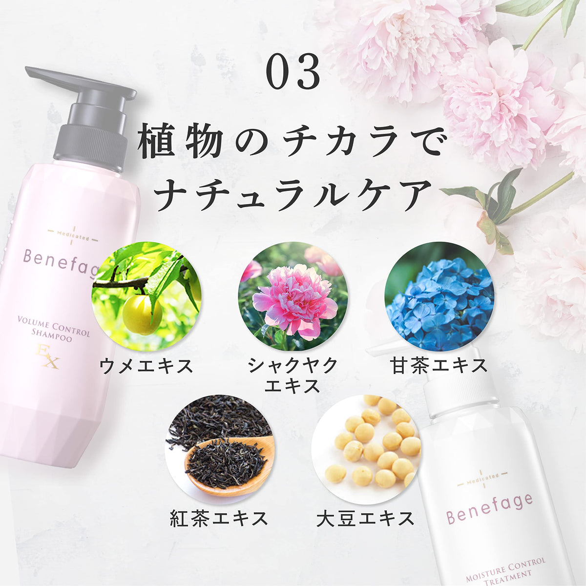 Aderans Volume Control Shampoo EX 370mL for Women