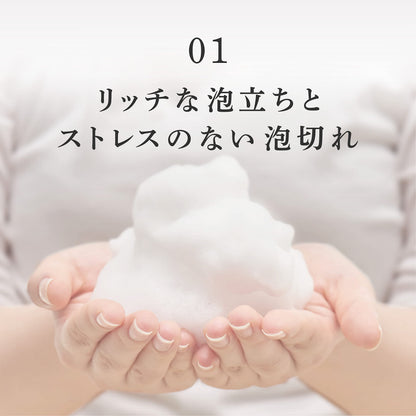 Aderans Volume Control Shampoo EX 370mL Japanese Hair Care