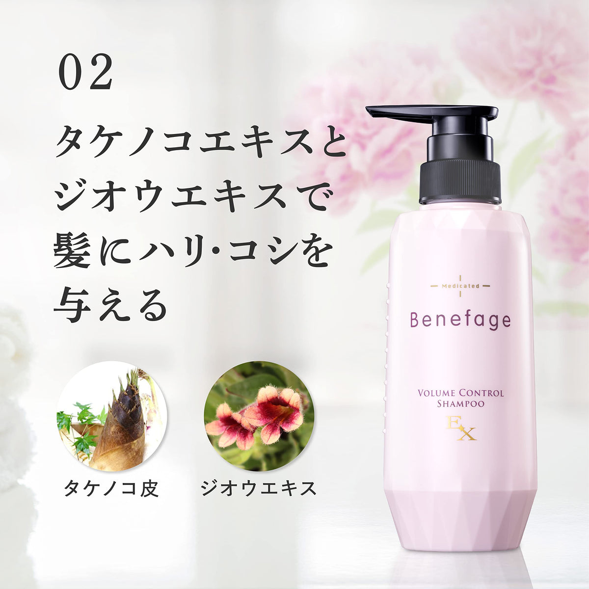Aderans Volume Control Shampoo EX 370mL Japanese Hair Care