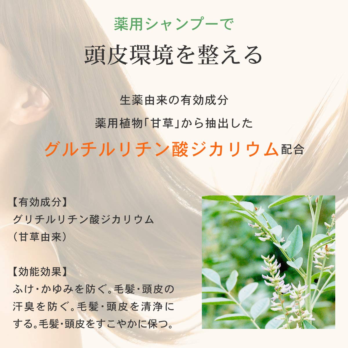 AFC Refreshing Citrus Shampoo 150ml for Japanese Hair Care