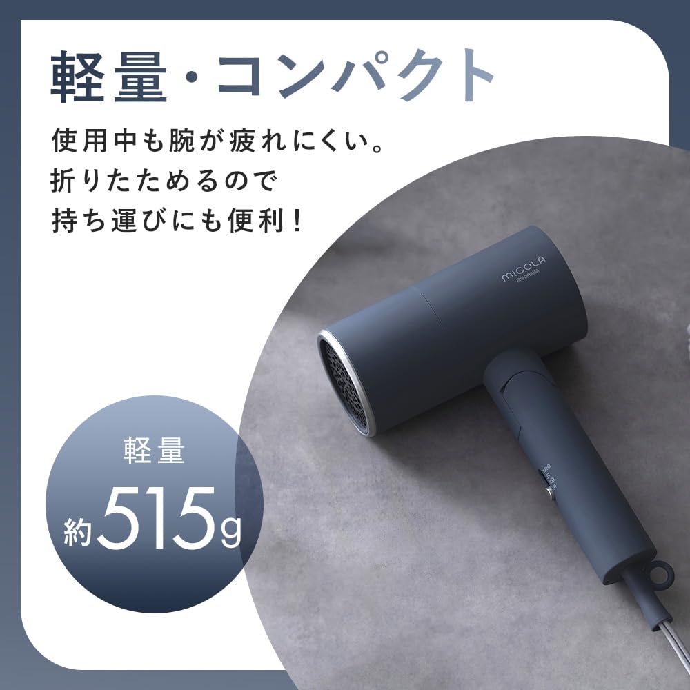 IRIS OHYAMA Ion Hair Dryer with Infrared Technology and Negative Ions