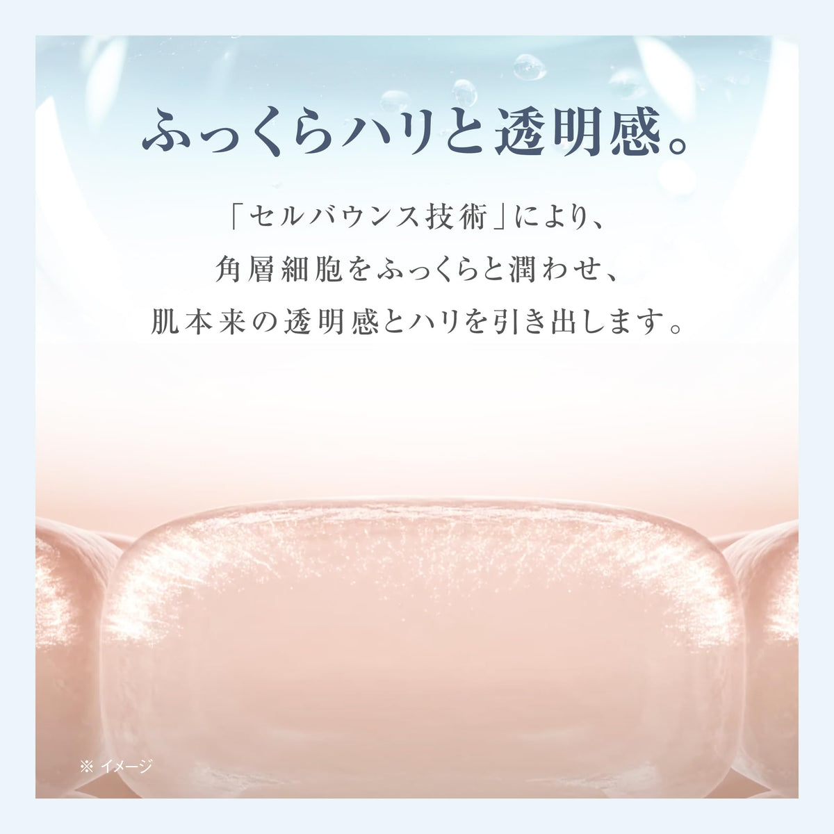 ACSEINE Moist Balance Lotion Hydrating Toner 360ml for Japanese Skincare