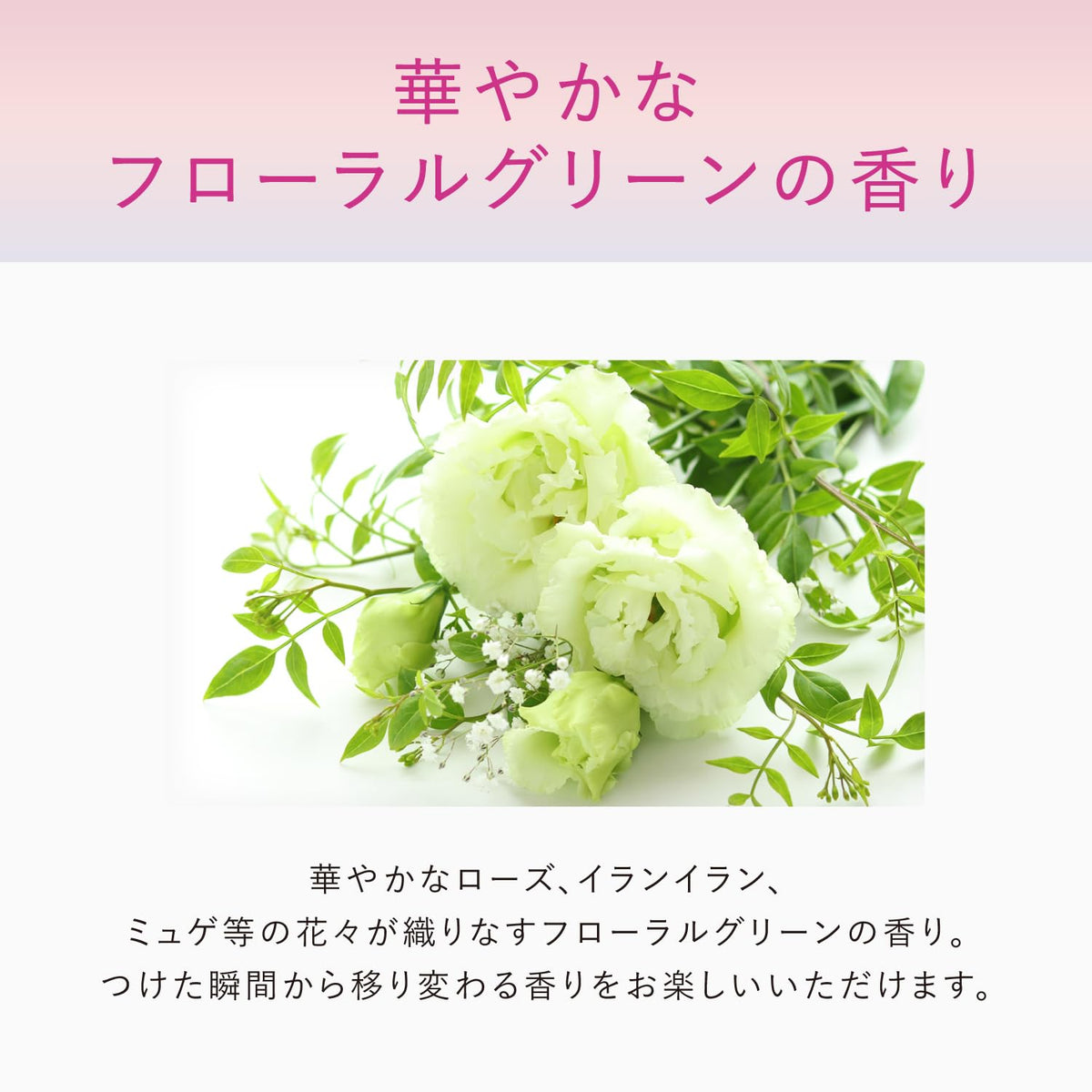 ASTALIFT Wrinkle Repair Serum 70 Day Supply for Japanese Skincare