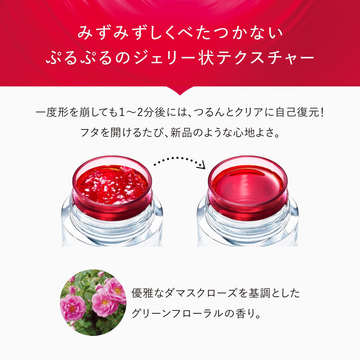 ASTALIFT White Jelly Aquarista 60g Moisturizing Japanese Skincare