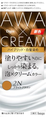Bigen Hair Color Foam Cream 2N Bright Brown for Women
